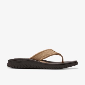 Clarks Wesley Belt Desert Sandaler Herre Desert | WULVO-6240